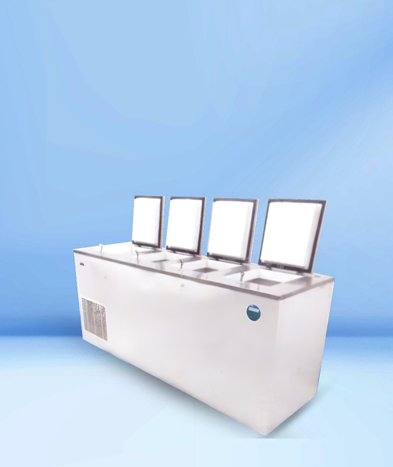 Deep Freezer 1200 Ltr
