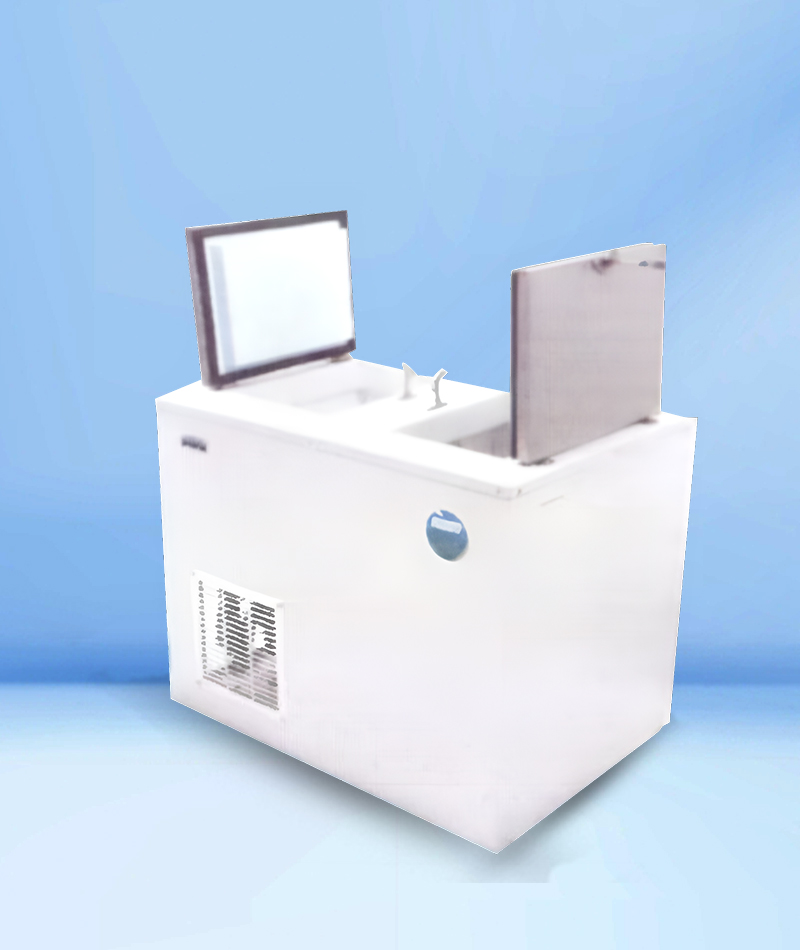 Deep Freezer 300 Ltr